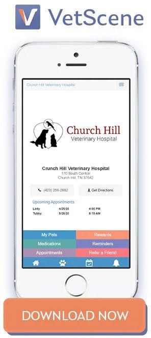 Church Hill Veterinary Hospital in Church Hill, TN.